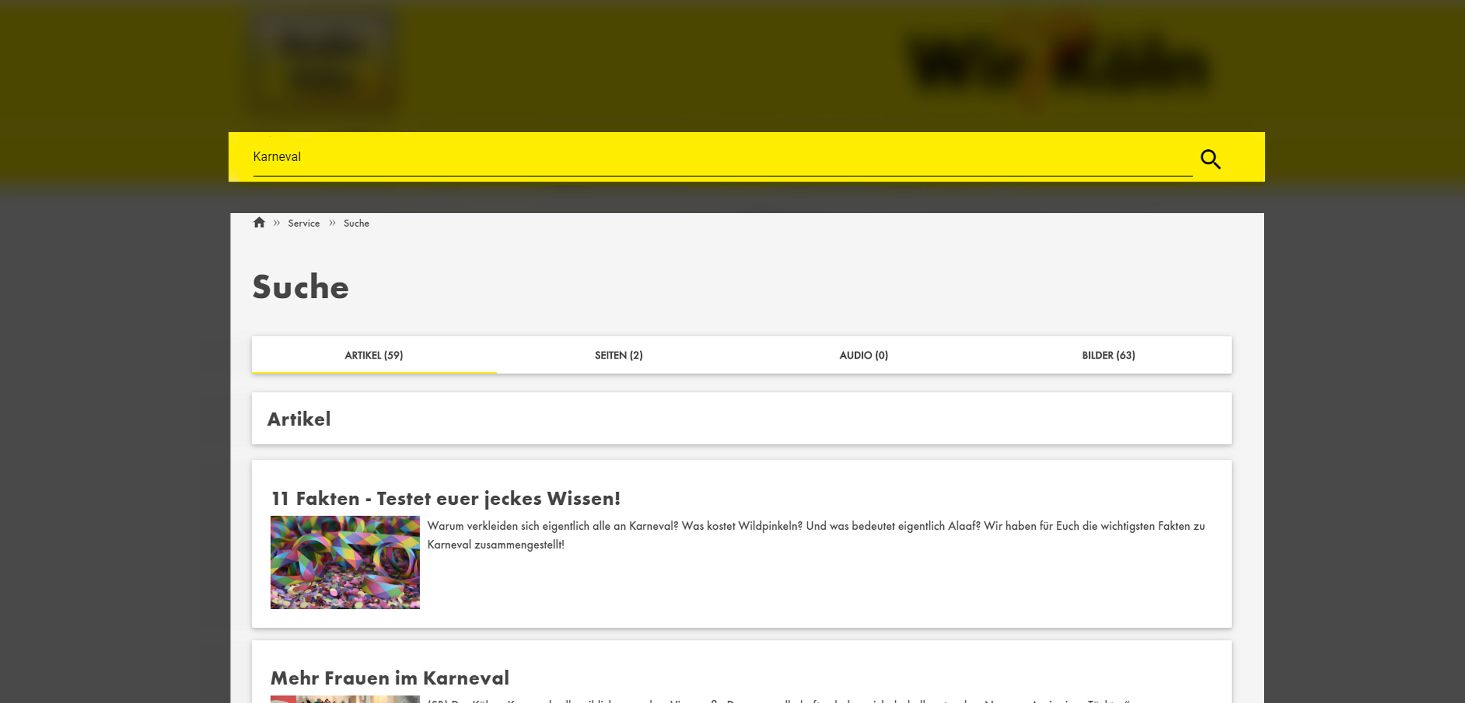 Radio NRW Web Components Search Radio NRW Web Components Search